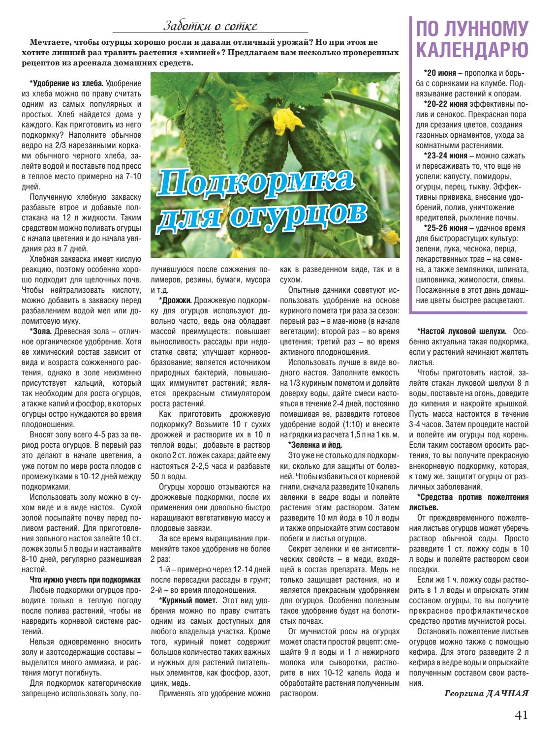 Подкормка огурцов в теплице. какие удобрения и когда использовать
