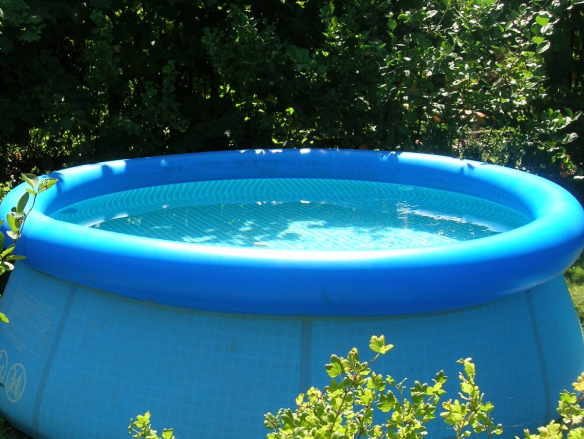 Что делать, если зеленеет вода в бассейне