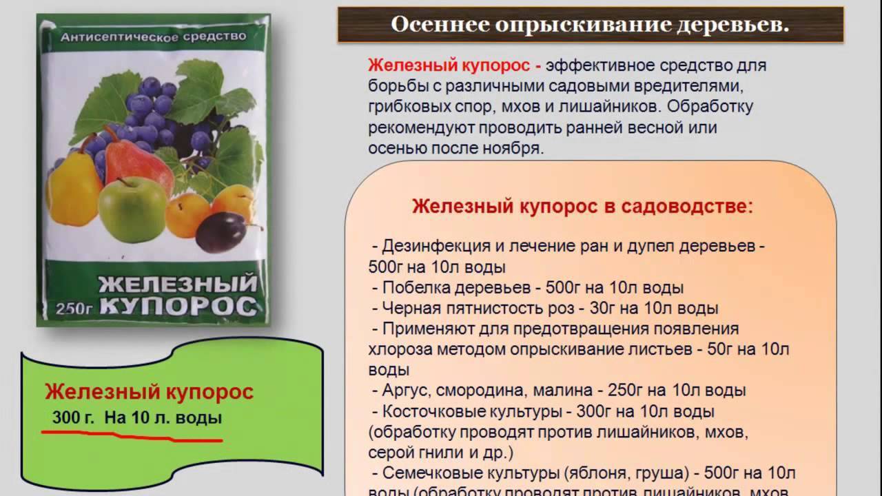 Обработка теплицы весной – восемь главных этапов работ
обработка теплицы весной – восемь главных этапов работ