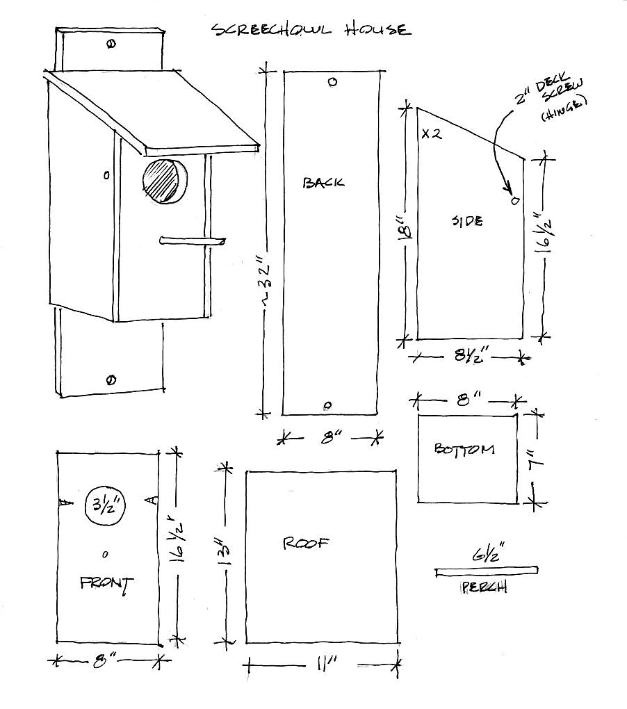 Как правильно сделать скворечник своими руками размеры и чертежи