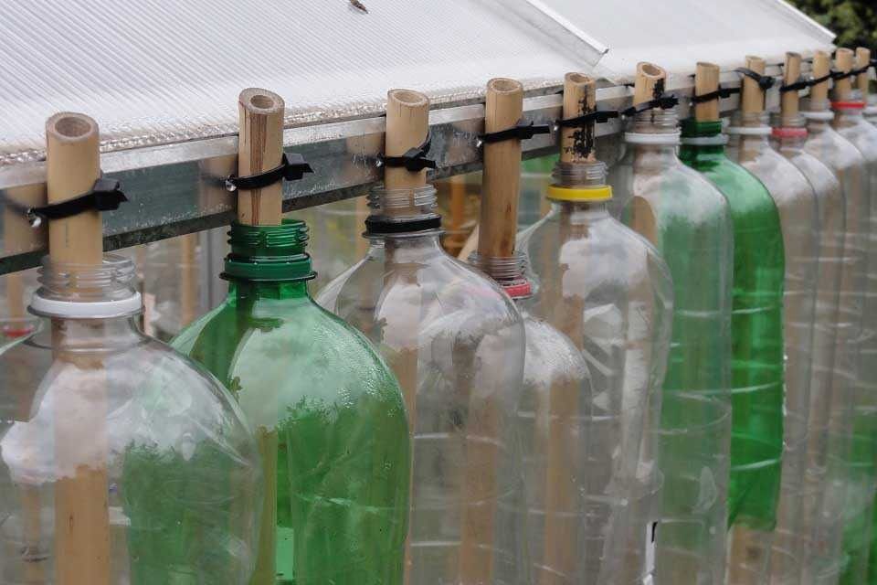 Теплица из пластиковых бутылок своими руками пошагово с фото и видео