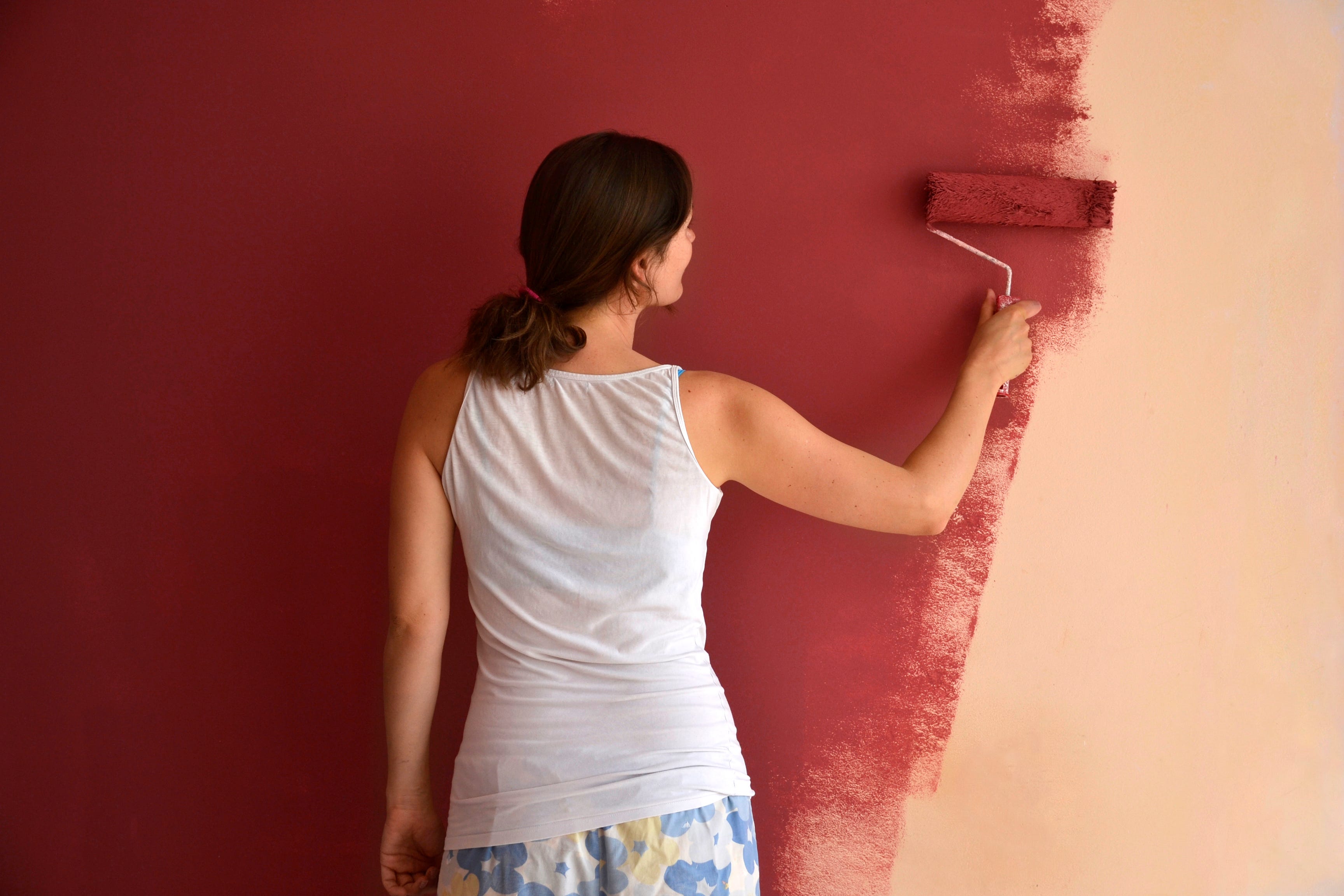 Обои или покраска стен: что лучше, плюсы и минусы