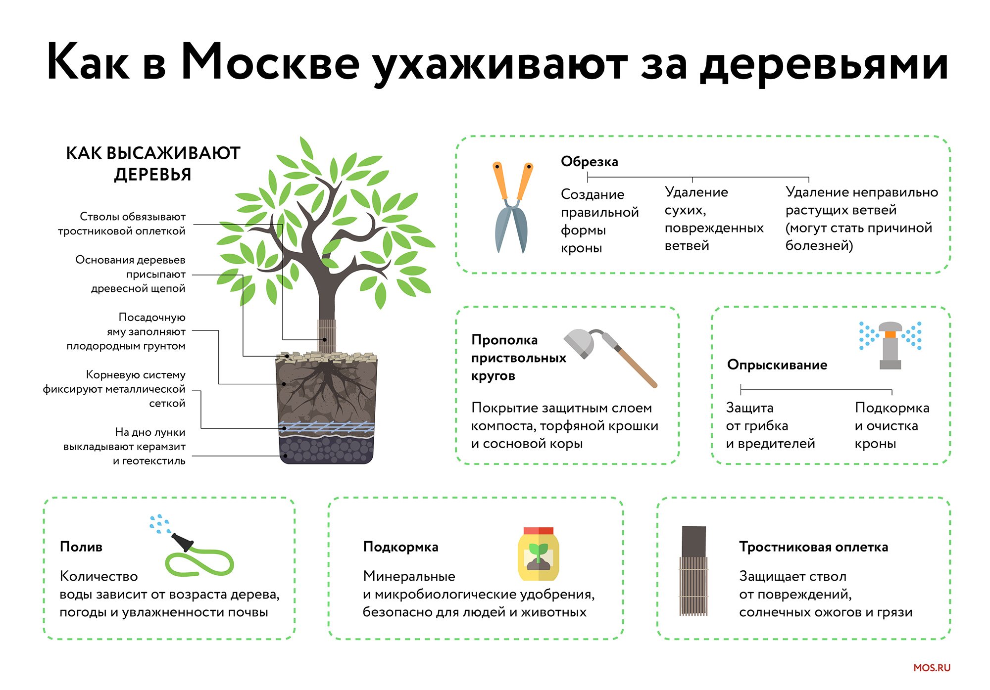 Обработка деревьев весной от вредителей и болезней: самые эффективные препараты