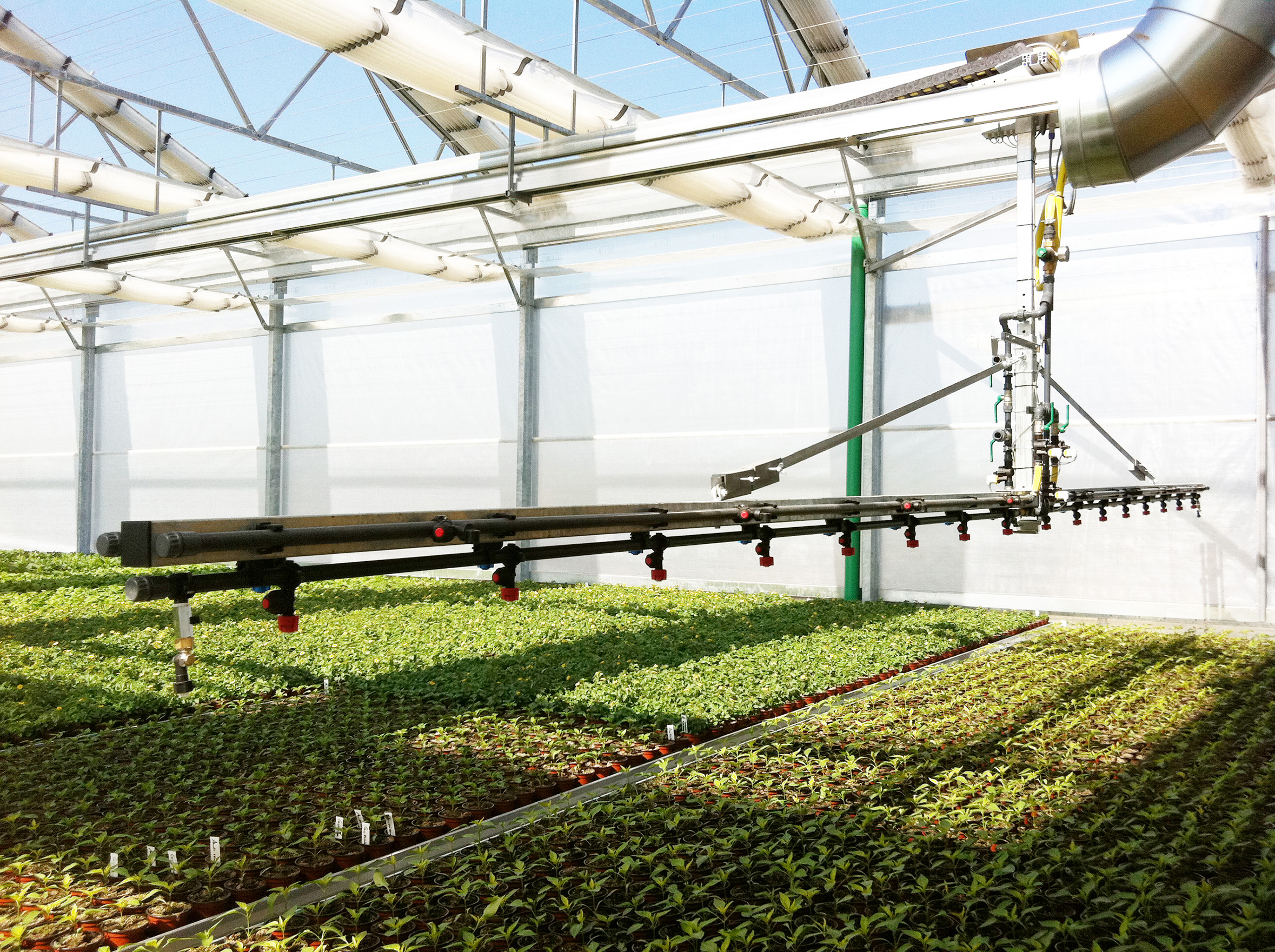 Ооо солнечный. Hydroponic Greenhouse Irrigation System. Irrigation Greenhouse. Рампа Mosa Irrigation System Greenhouse. Оборудование для теплиц.