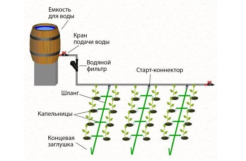 Как сделать полив в теплице своими руками