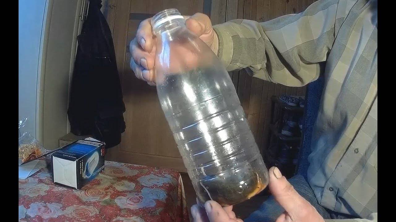 Ловушка для мышей из пластиковой бутылки, лучшая приманка