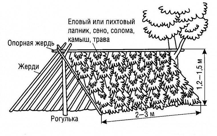 Как сделать шалаш: виды шалашей. строим шалаш в лесу, зимой и летом.