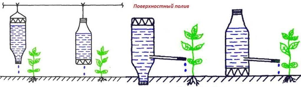 Как поливать огурцы в теплице из поликарбоната