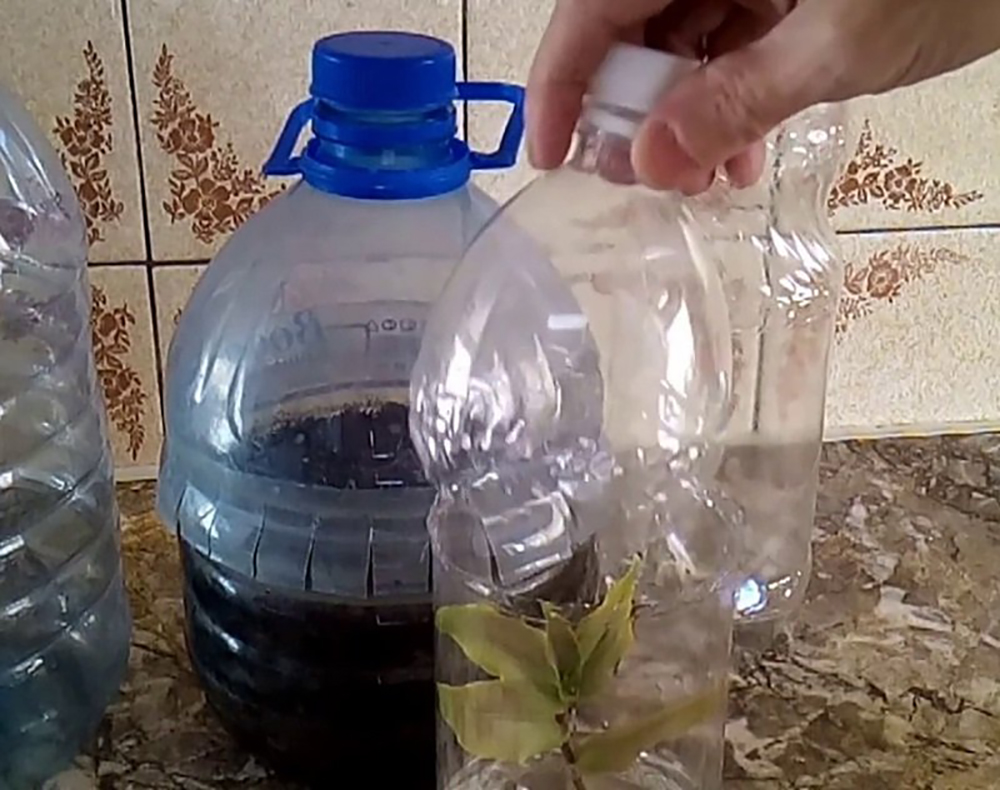Строим парник из пластиковых бутылок своими руками