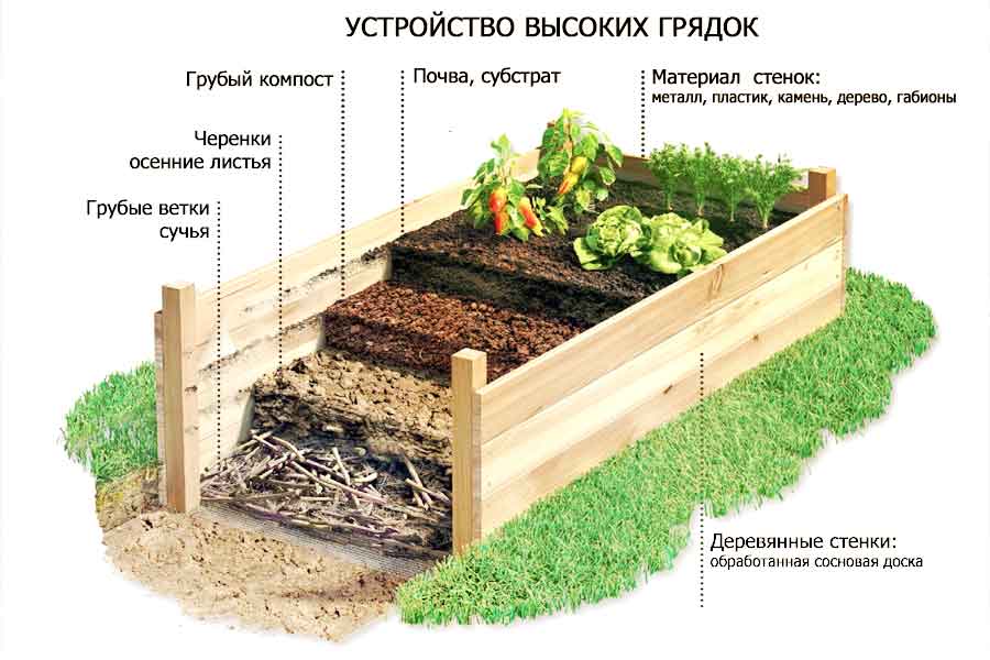 Из чего сделать высокие грядки: топ-7 популярных материалов на supersadovnik.ru