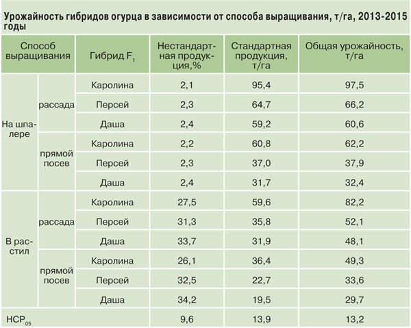 Лучшие сорта огурцов для теплицы из поликарбоната