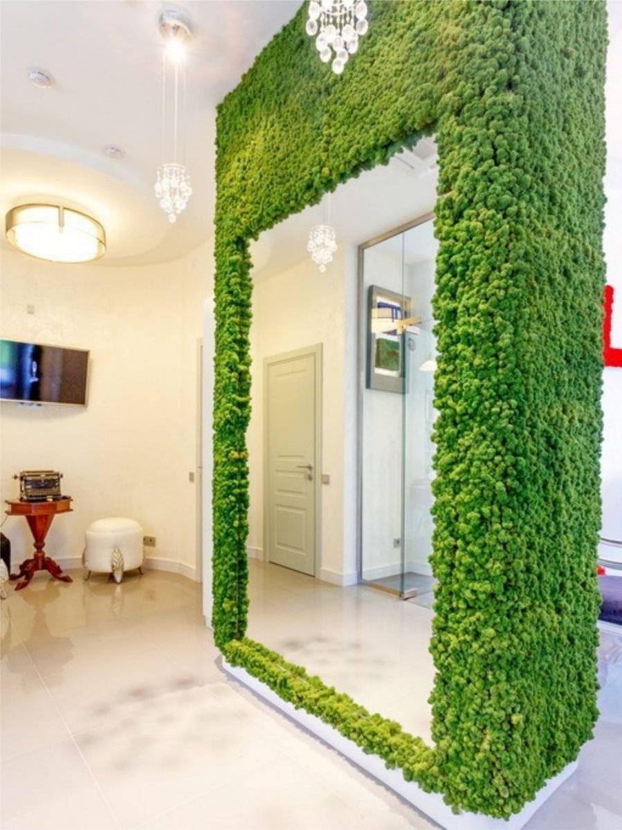 Озеленение для ленивых — мох на стену (60 фото). как сделать зеленую стену из мха своими руками?