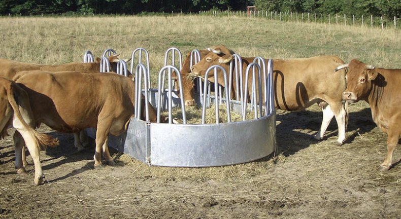 Кормушки и поилки для коров – оборудование для крс своими руками 2020