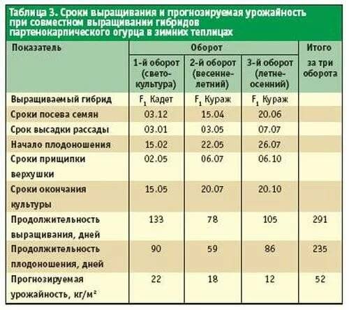 Температура в теплице: оптимальные показатели и способы их достижения